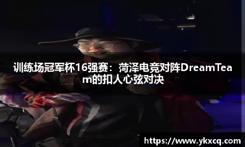 DB电竞app