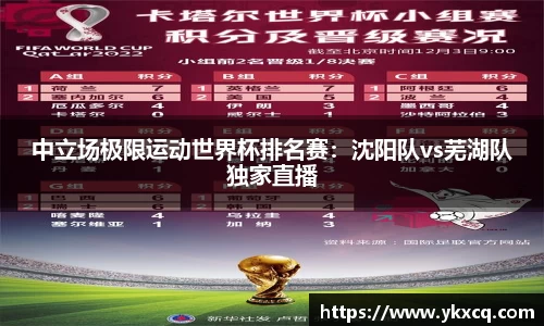 中立场极限运动世界杯排名赛：沈阳队vs芜湖队独家直播