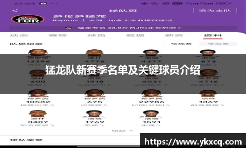 DB电竞